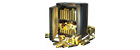 5800 Golds