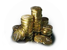 19 Coins